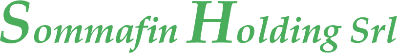 Sommafin Holding Srl logo